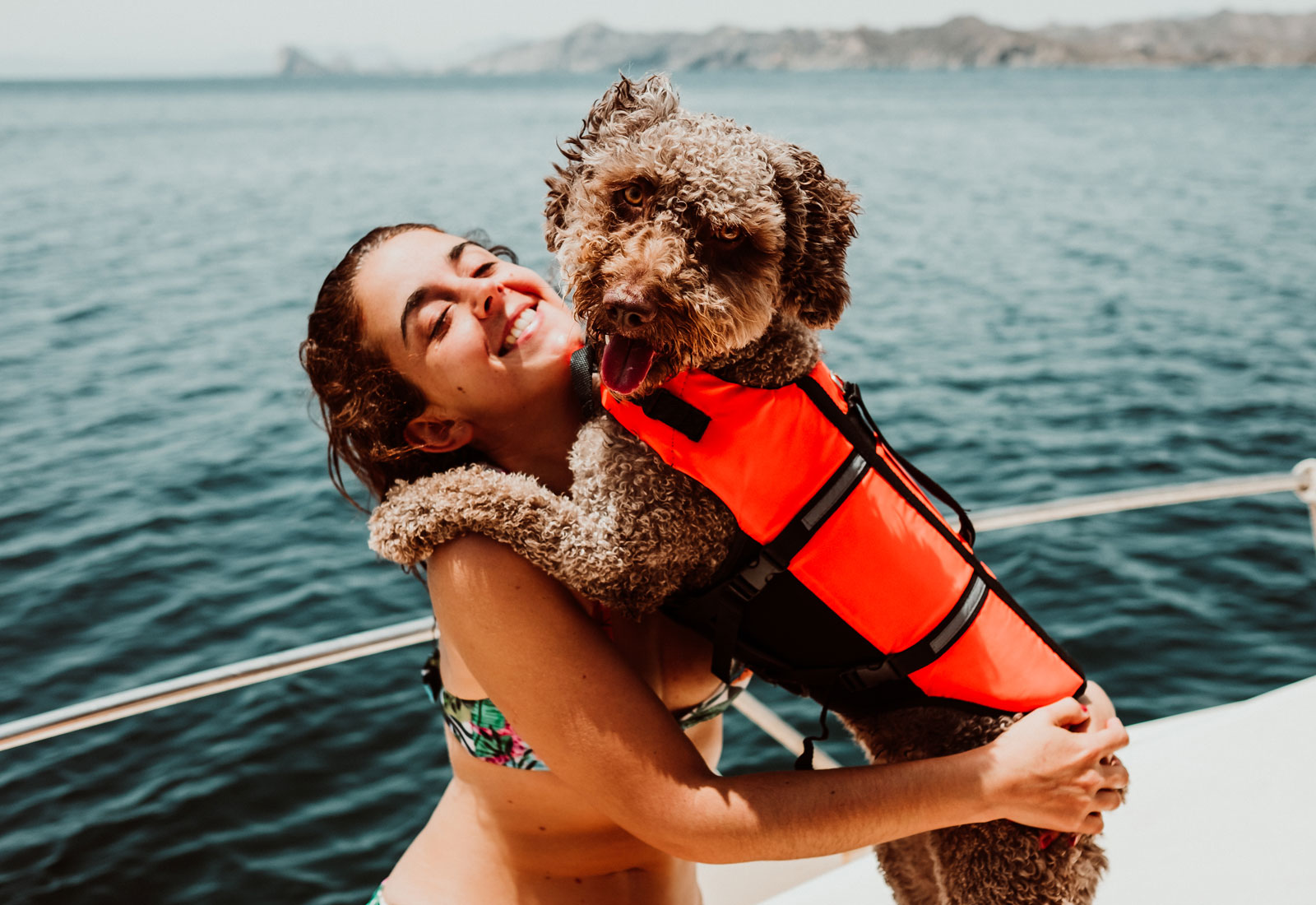 Careel-Bay-Marina-Dogs-and-Boats